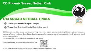 Image result for Cd Phoenix Netball Club