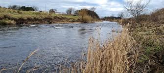 Image result for Carrick Angling Club