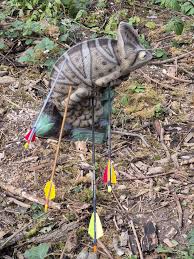 Image result for Row Brow Field Archery