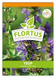 Image result for Ysop