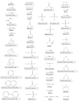 Organic Functional Group