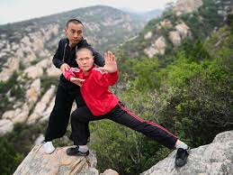 Image result for Shaolin Ancestors kung Fu School
