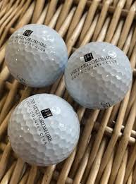 Image result for Hertfordshire Microlight Club