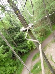 Image result for Go Ape! Whinlatter