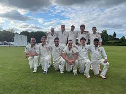 Image result for Odiham & Greywell Cricket Club