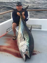 Image result for giant tuna