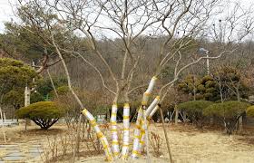 Image result for 붶