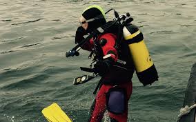 Image result for Ddrc (The Club)