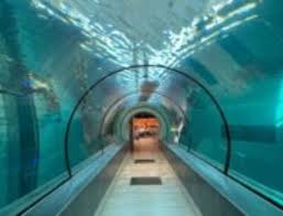 Image result for Apneists UK