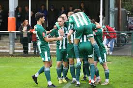Image result for Leatherhead Football Club