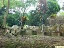 Main View of Bukit Brown Cemetery (Abandoned Chinese Cemetery ...