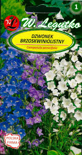 Attēlu rezultāti vaicājumam “Campanula persicifolia leaf”