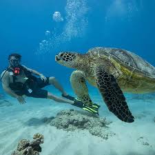Image result for Underwater Adventures