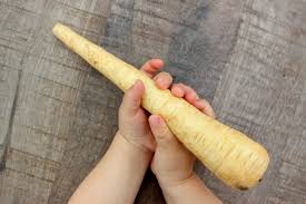 Image result for Pastinake