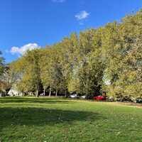 Image result for Redland Green Bowling Club