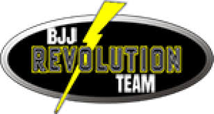 Image result for Revolution Dojo