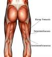 Rolfing - Hamstring