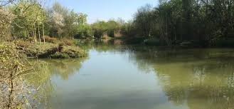 Image result for Crowthorne Angling