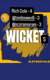 Image result for Vale Cricket Club