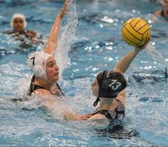 Image result for Polytechnic (London) - Water Polo