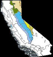 Attēlu rezultāti vaicājumam “Pohlia proligera”