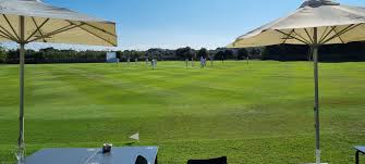 Image result for Runnymede Rascals Cricket Club