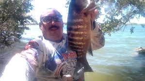 Image result for Lutjanus alexandrei