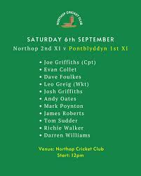 Image result for Pontblyddyn Cricket Club