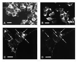 Image result for ве...iw=1280