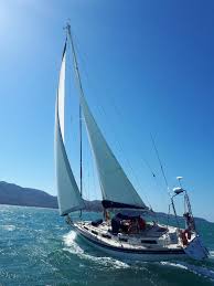 Image result for Xarifa