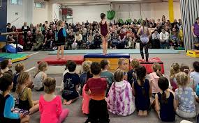 Image result for Torbay Olympic Gymnastics Club