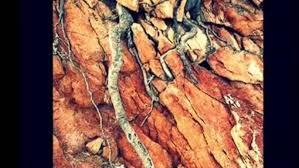 Image result for intemperismo