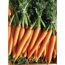 Image result for Möhren