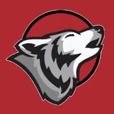Image result for Edinburgh Wolves