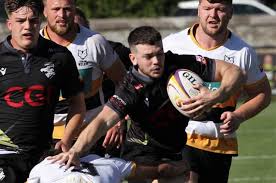 Image result for Stirling Wolves