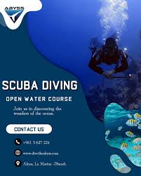 Image result for Abyss Dive Club