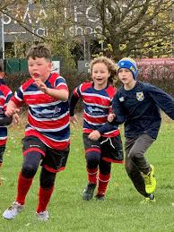 Image result for Watford Rugby Football Club