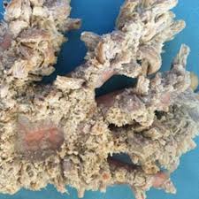 Image result for Lewandowsky-Lutz