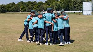 Image result for Poole Town Cc