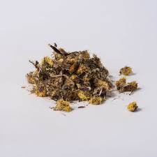 Attēlu rezultāti vaicājumam “Tussilago farfara bud”