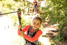 Image result for The Go Ape Experience (Delamere Forest)