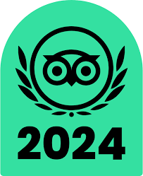 Image result for BigBlueSurfSchool