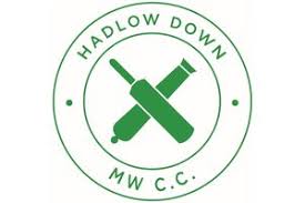 Image result for Hadlow Cricket Club