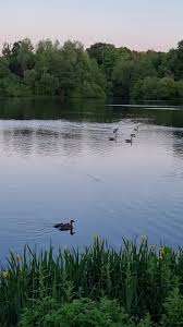 Image result for Rowley Lane Bowls Club