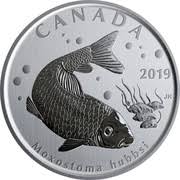 Image result for Moxostoma hubbsi