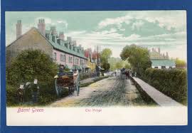 Image result for Barnt green