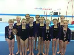 Image result for Wyre Forest School Of Gymnastics