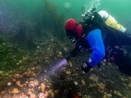 Image result for Southdown Divers