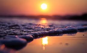 Image result for sunset