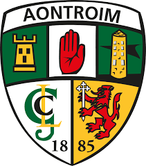 Image result for Wolfe Tones Gaelic Athletic Club